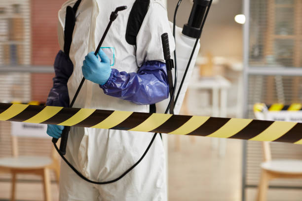 Professional Sewage Cleanup technician working in Clinton, AR